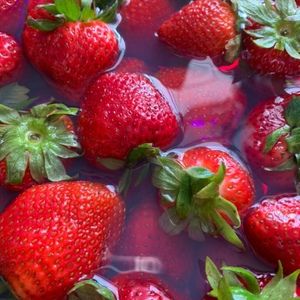 Meet your Posher, Noel